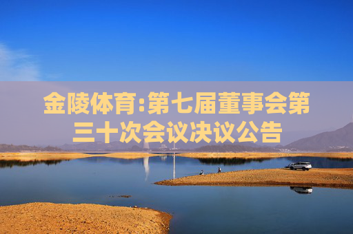 金陵体育:第七届董事会第三十次会议决议公告
