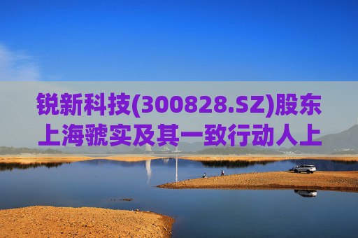 锐新科技(300828.SZ)股东上海虢实及其一致行动人上海虢盛累计减持1%股份  第1张