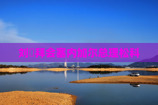 刘珺拜会塞内加尔总理松科