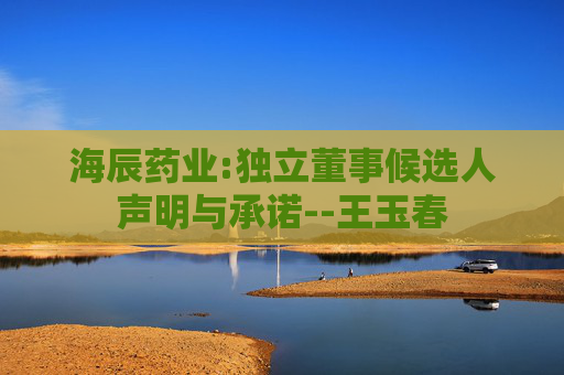 海辰药业:独立董事候选人声明与承诺--王玉春