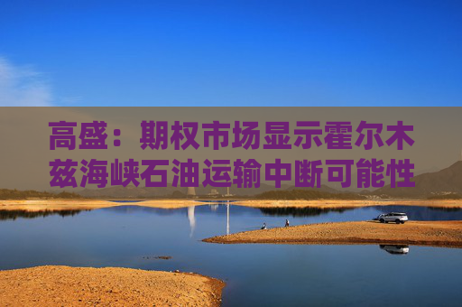 高盛：期权市场显示霍尔木兹海峡石油运输中断可能性很小