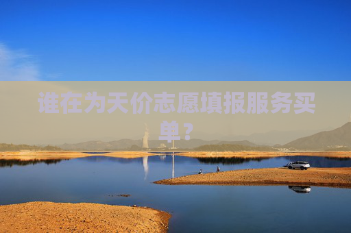 谁在为天价志愿填报服务买单？