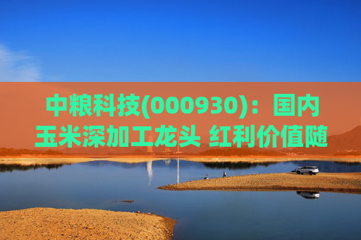 中粮科技(000930)：国内玉米深加工龙头 红利价值随业绩改善凸显