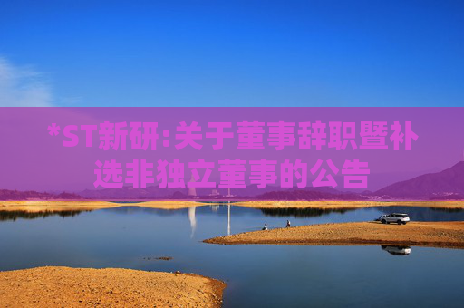 *ST新研:关于董事辞职暨补选非独立董事的公告
