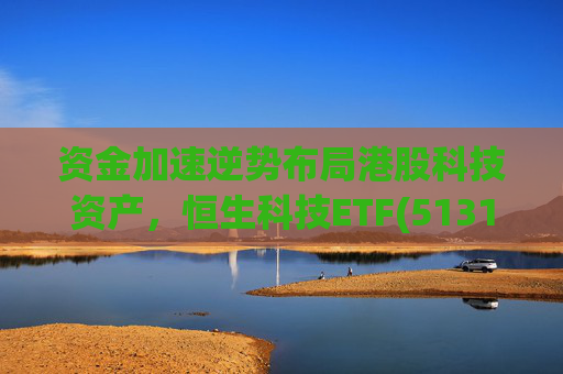 资金加速逆势布局港股科技资产，恒生科技ETF(513130)单日净流入超6亿，最新份额达378.29亿份，迭创历史新高