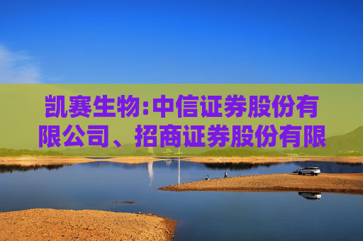 凯赛生物:中信证券股份有限公司、招商证券股份有限公司关于上海凯赛生物技术股份有限公司向特定对象发行A股股票之上市保荐书  第1张