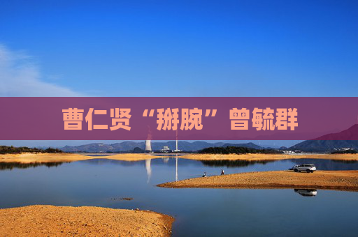 曹仁贤“掰腕”曾毓群