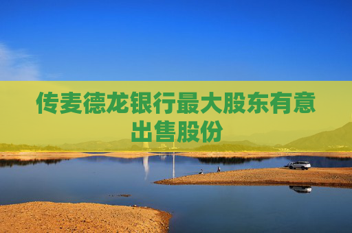 传麦德龙银行最大股东有意出售股份