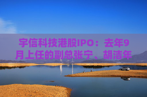 宇信科技港股IPO：去年9月上任的副总张宁、胡洁年薪百万，2015年上任的副总郑春年薪73.5万