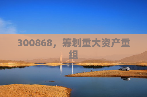 300868，筹划重大资产重组