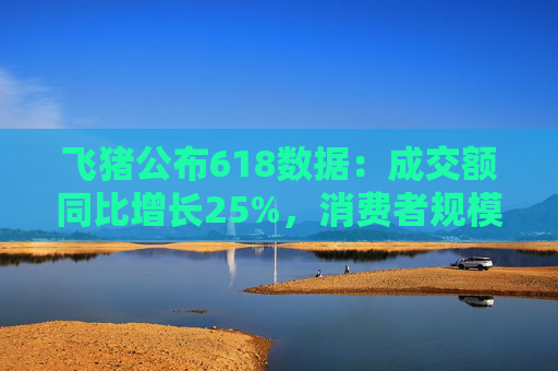 飞猪公布618数据：成交额同比增长25%，消费者规模增长约30%