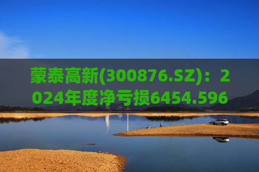 蒙泰高新(300876.SZ)：2024年度净亏损6454.596万元