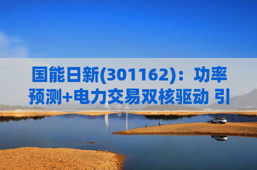 国能日新(301162)：功率预测+电力交易双核驱动 引领业绩持续高增长