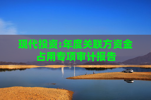 现代投资:年度关联方资金占用专项审计报告  第1张