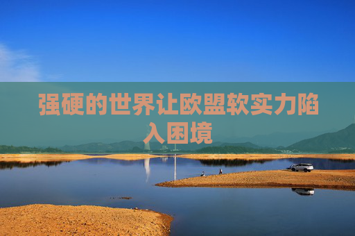 强硬的世界让欧盟软实力陷入困境