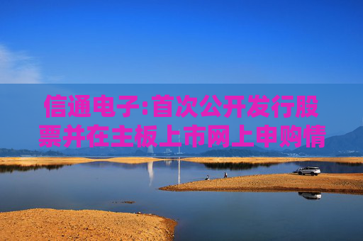 信通电子:首次公开发行股票并在主板上市网上申购情况及中签率公告