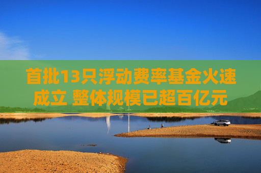 首批13只浮动费率基金火速成立 整体规模已超百亿元