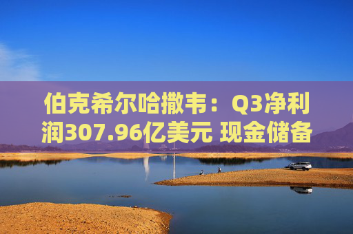 伯克希尔哈撒韦：Q3净利润307.96亿美元 现金储备达3816.7亿美元