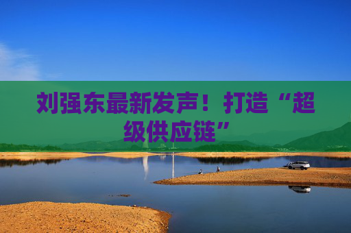 刘强东最新发声！打造“超级供应链”