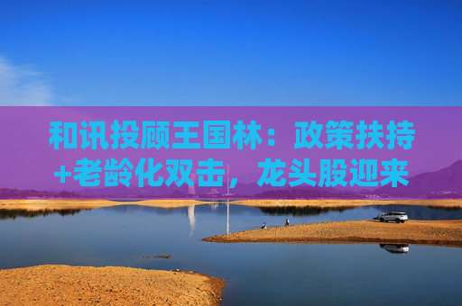 和讯投顾王国林：政策扶持+老龄化双击，龙头股迎来估值拐点！