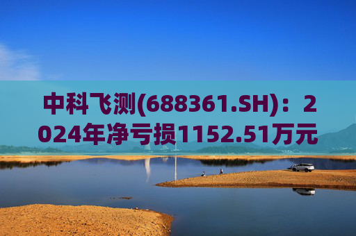 中科飞测(688361.SH)：2024年净亏损1152.51万元