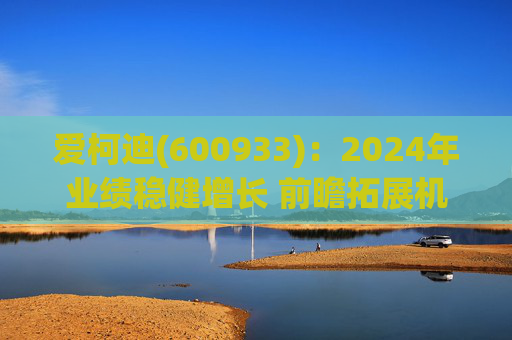爱柯迪(600933)：2024年业绩稳健增长 前瞻拓展机器人相关业务