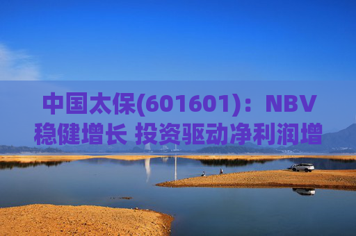 中国太保(601601)：NBV稳健增长 投资驱动净利润增速提升