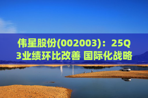 伟星股份(002003)：25Q3业绩环比改善 国际化战略保障成长