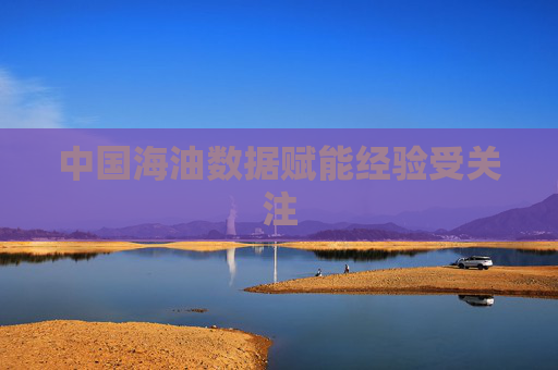 中国海油数据赋能经验受关注