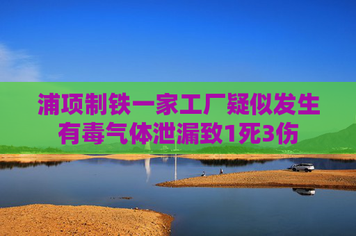 浦项制铁一家工厂疑似发生有毒气体泄漏致1死3伤