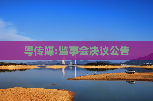粤传媒:监事会决议公告