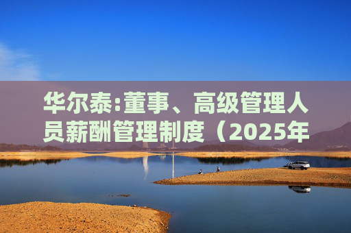 华尔泰:董事、高级管理人员薪酬管理制度（2025年11月）