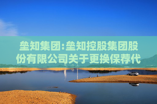 垒知集团:垒知控股集团股份有限公司关于更换保荐代表人的公告