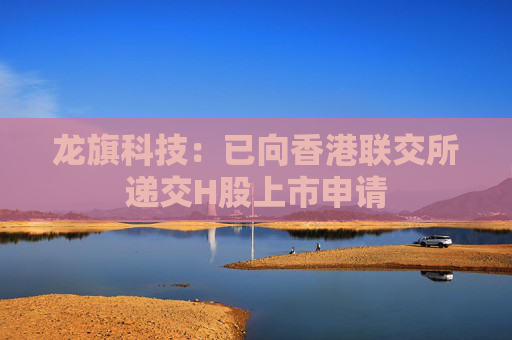 龙旗科技：已向香港联交所递交H股上市申请