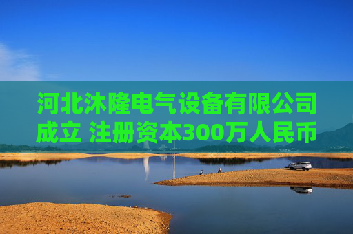 河北沐隆电气设备有限公司成立 注册资本300万人民币