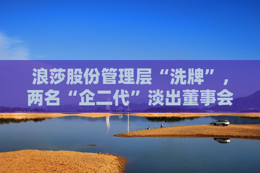 浪莎股份管理层“洗牌”，两名“企二代”淡出董事会