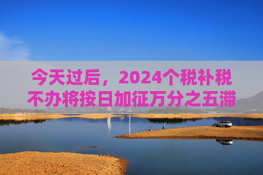 今天过后，2024个税补税不办将按日加征万分之五滞纳金