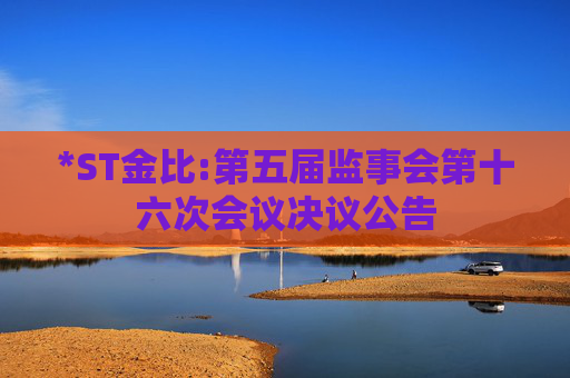 *ST金比:第五届监事会第十六次会议决议公告