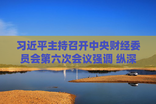 习近平主持召开中央财经委员会第六次会议强调 纵深推进全国统一大市场建设 推动海洋经济高质量发展 李强蔡奇丁薛祥出席