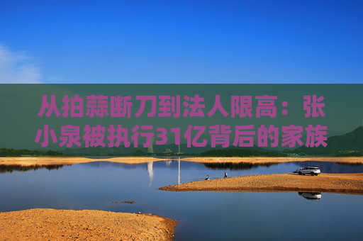 从拍蒜断刀到法人限高：张小泉被执行31亿背后的家族企业治理黑洞