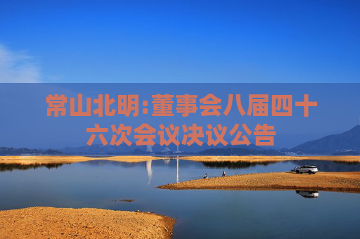 常山北明:董事会八届四十六次会议决议公告