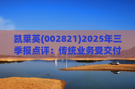 凯莱英(002821)2025年三季报点评:传统业务受交付节奏影响 新兴业务加速放量 第1张 凯莱英(002821)2025年三季报点评:传统业务受交付节奏影响 新兴业务加速放量 第1张