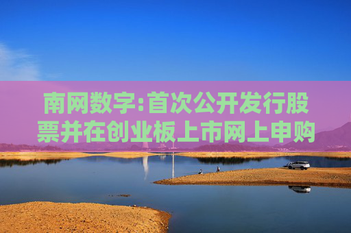 南网数字:首次公开发行股票并在创业板上市网上申购情况及中签率公告