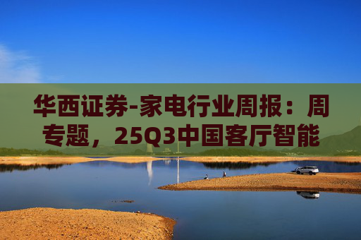 华西证券-家电行业周报：周专题，25Q3中国客厅智能设备线上销额同比增长，品类表现分化-251109