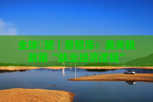 全球瞭望｜意智库：美关税政策“缺乏经济逻辑”  第1张