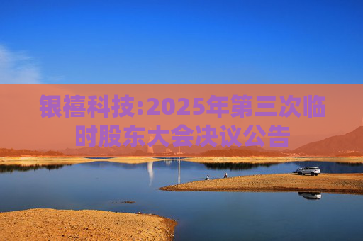 银禧科技:2025年第三次临时股东大会决议公告