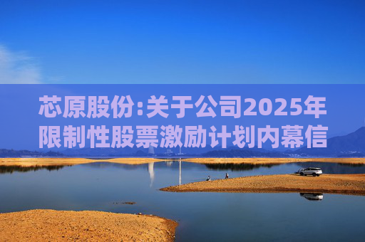 芯原股份:关于公司2025年限制性股票激励计划内幕信息知情人买卖公司股票情况的自查报告