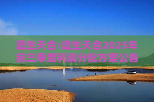 道生天合:道生天合2025年前三季度利润分配方案公告
