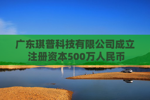 广东琪普科技有限公司成立 注册资本500万人民币