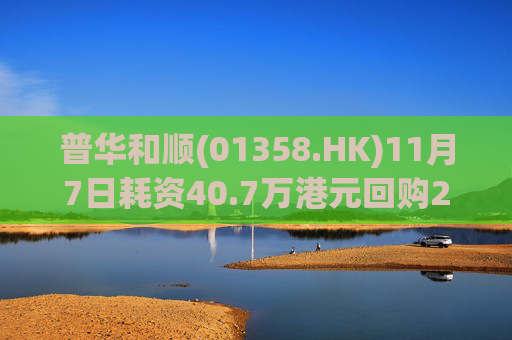 普华和顺(01358.HK)11月7日耗资40.7万港元回购29.5万股